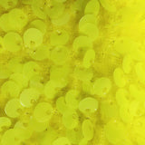 Daffodil